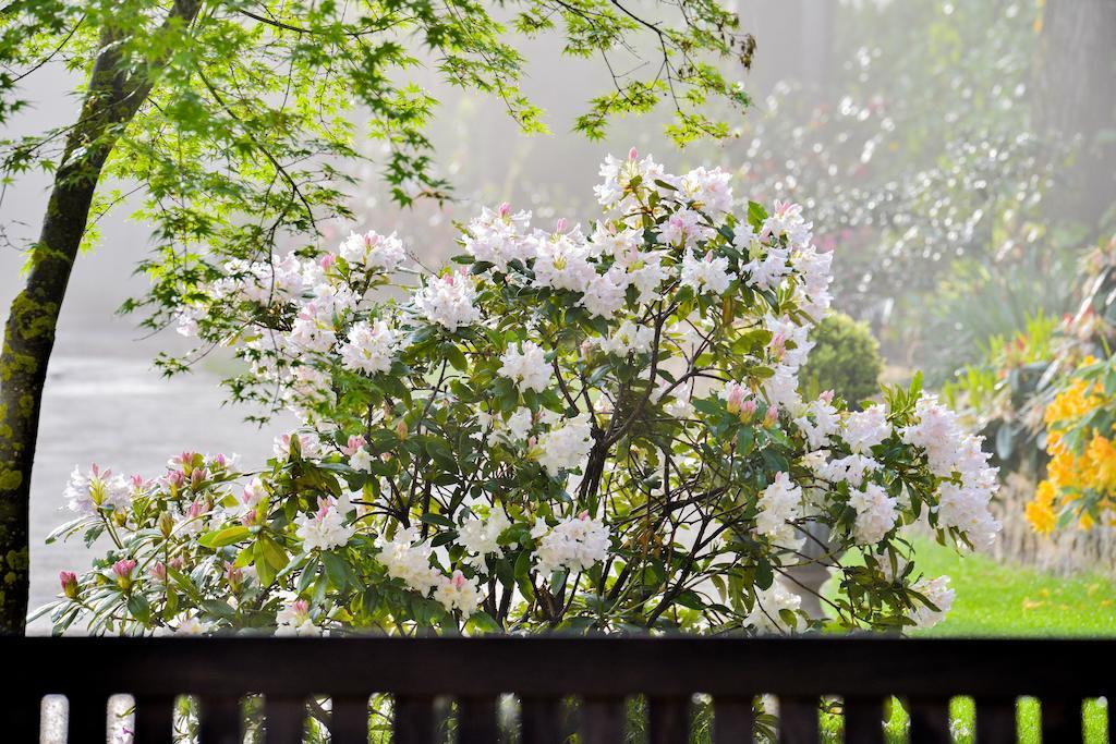 Bed and Breakfast Charmilles Des Cordeliers Paris Exterior foto